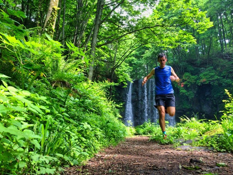 Trail Running for Beginners on Woodland Path